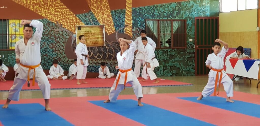 77285999 2208676812566882 1772720714604871680 o