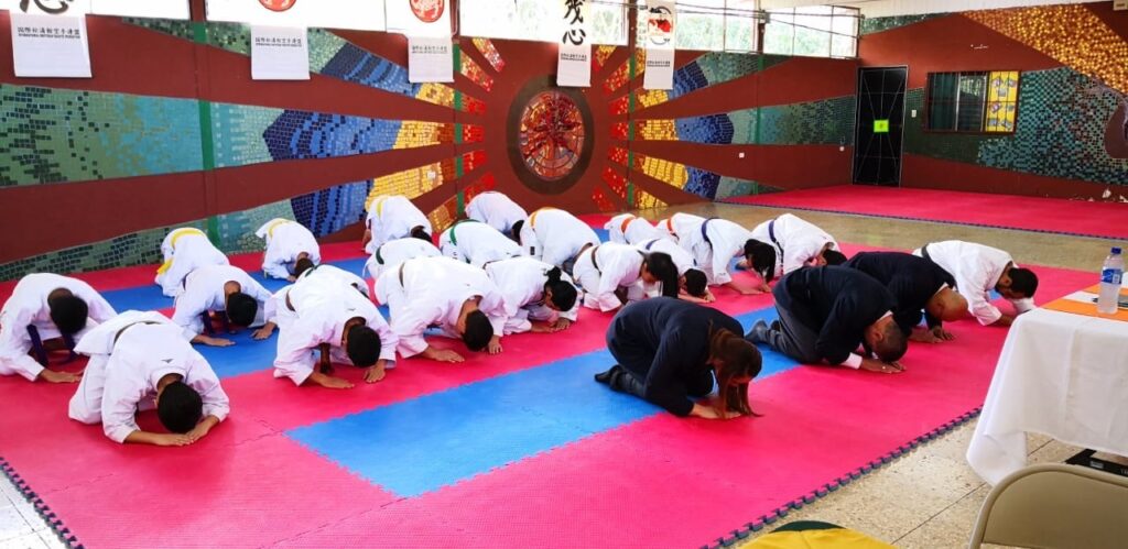 78893699 2208439865923910 6669392162607595520 o